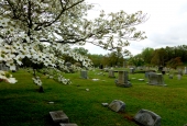 IIP Online Student Photography